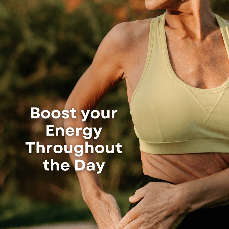 ENERGY: Ginseng + Ginkgo Supplement for Fatigue