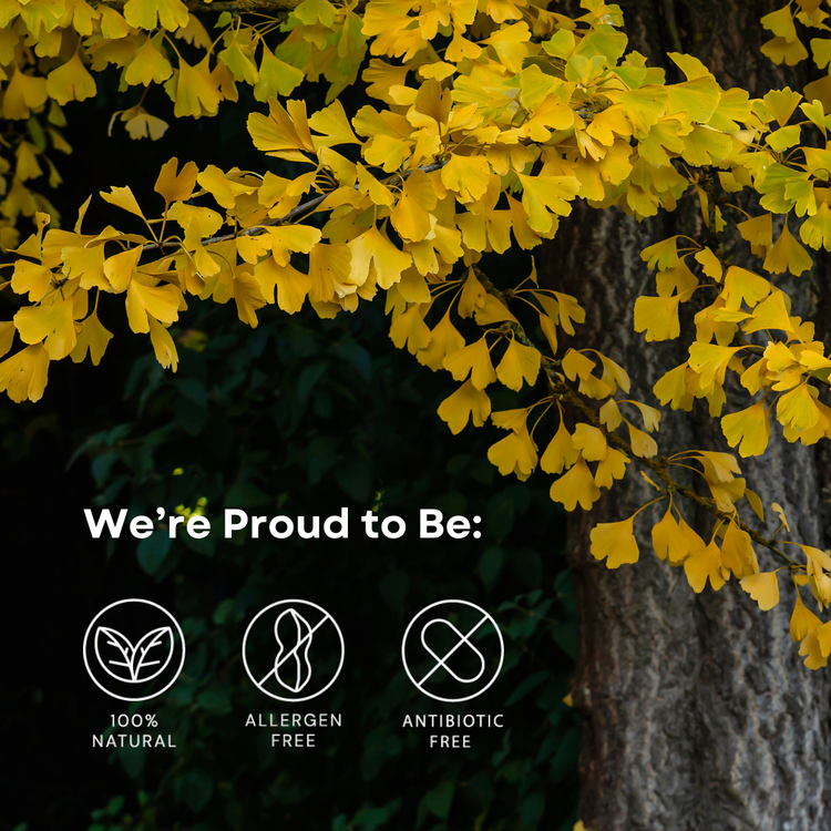 ENERGY: Ginseng + Ginkgo Supplement for Fatigue