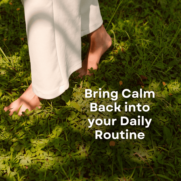 MOOD: Ashwagandha Supplement for Mood Swings & Cramp Relief