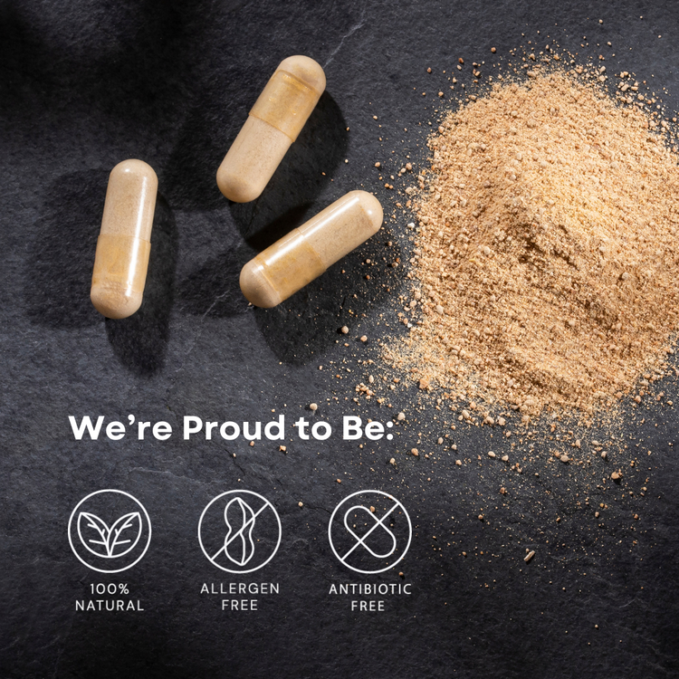 REVIVE: Triple Maca Supplement for Hot Flashes & Night Sweats